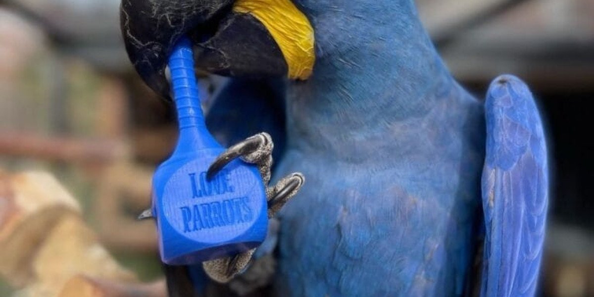 10 Macaw Keycaps Tricks All Experts Recommend